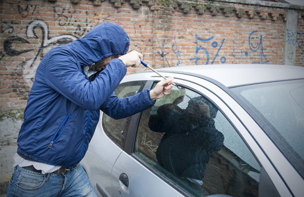 Annual Full Territory Insurance