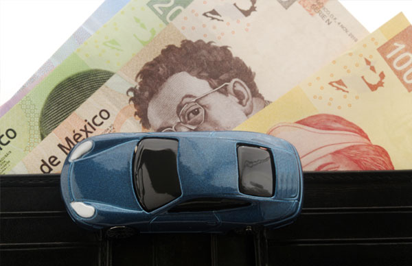 Your contact information