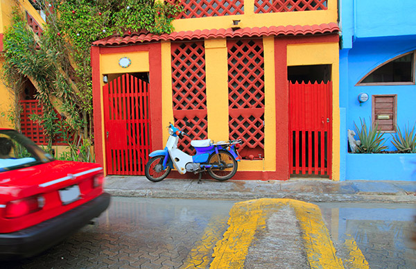 Driver’s License Liability