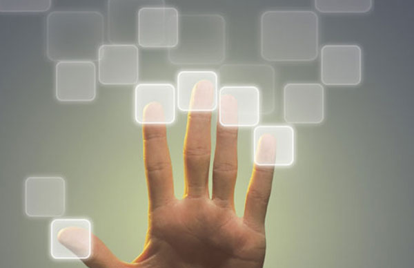 During the Interview Insurance